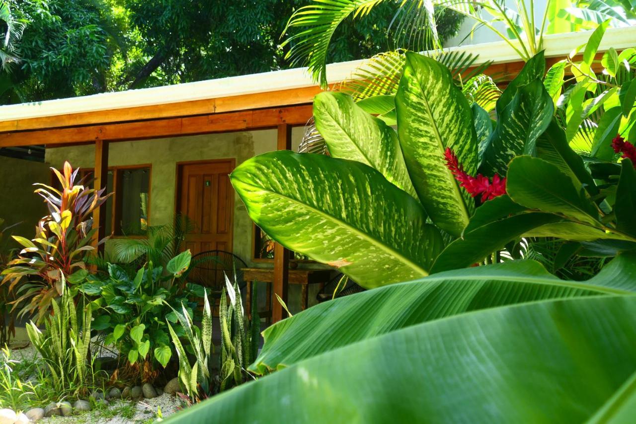 Cabinas Playa Surf Hostel Playa Santa Teresa  Exteriér fotografie