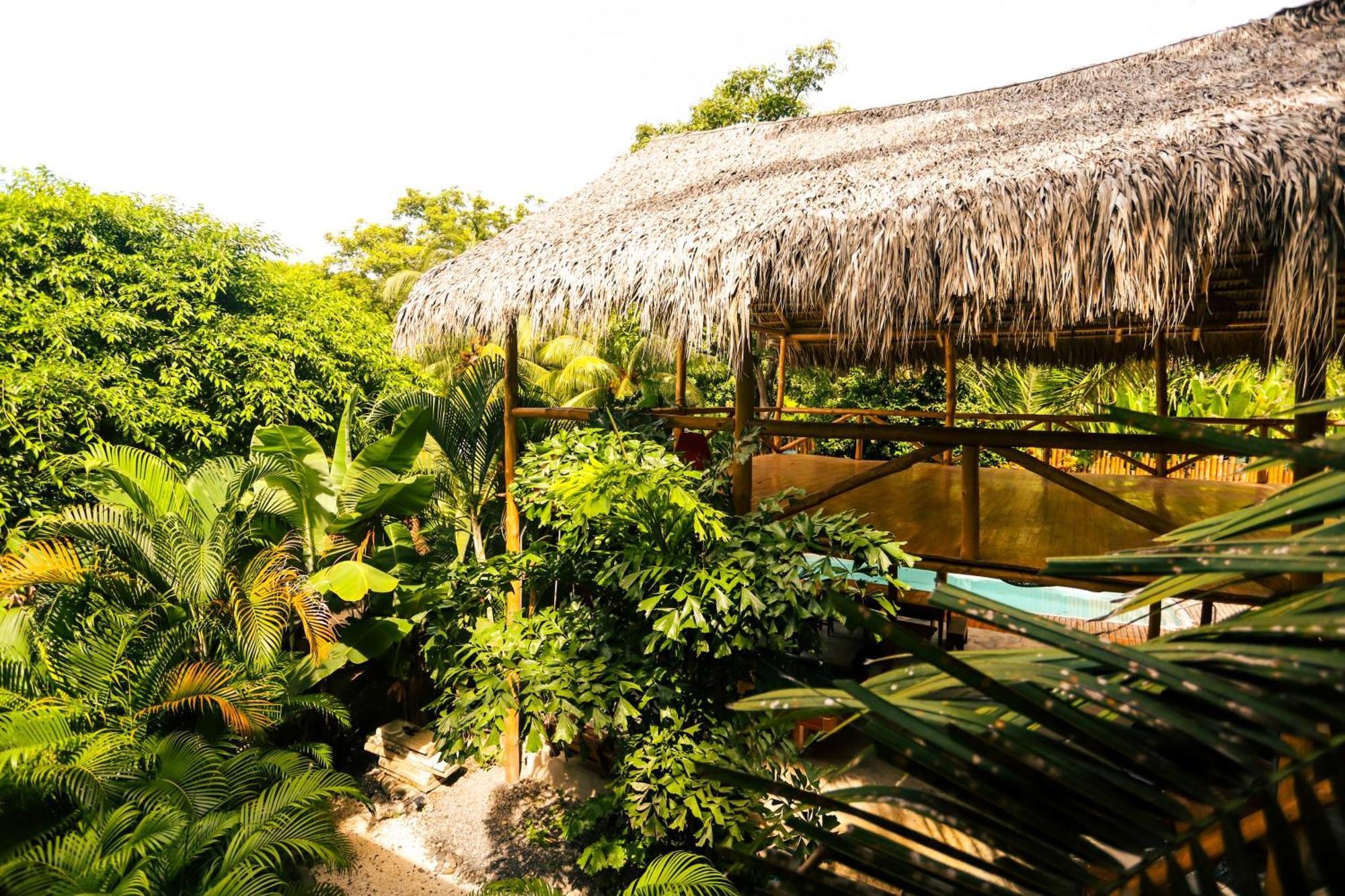 Cabinas Playa Surf Hostel Playa Santa Teresa  Exteriér fotografie