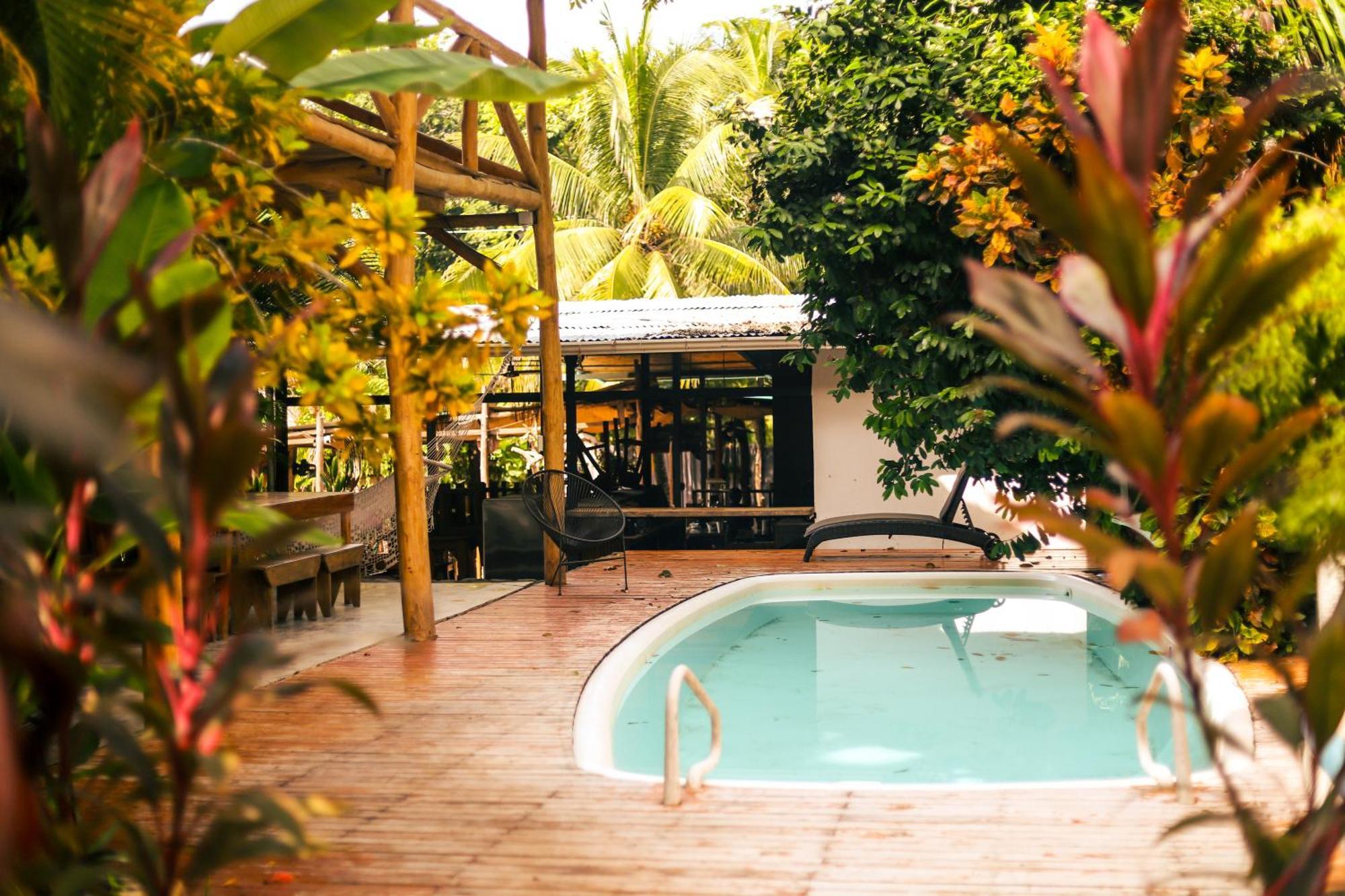 Cabinas Playa Surf Hostel Playa Santa Teresa  Exteriér fotografie