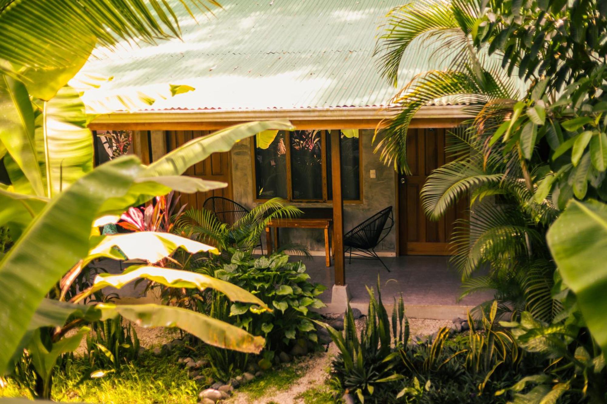 Cabinas Playa Surf Hostel Playa Santa Teresa  Exteriér fotografie