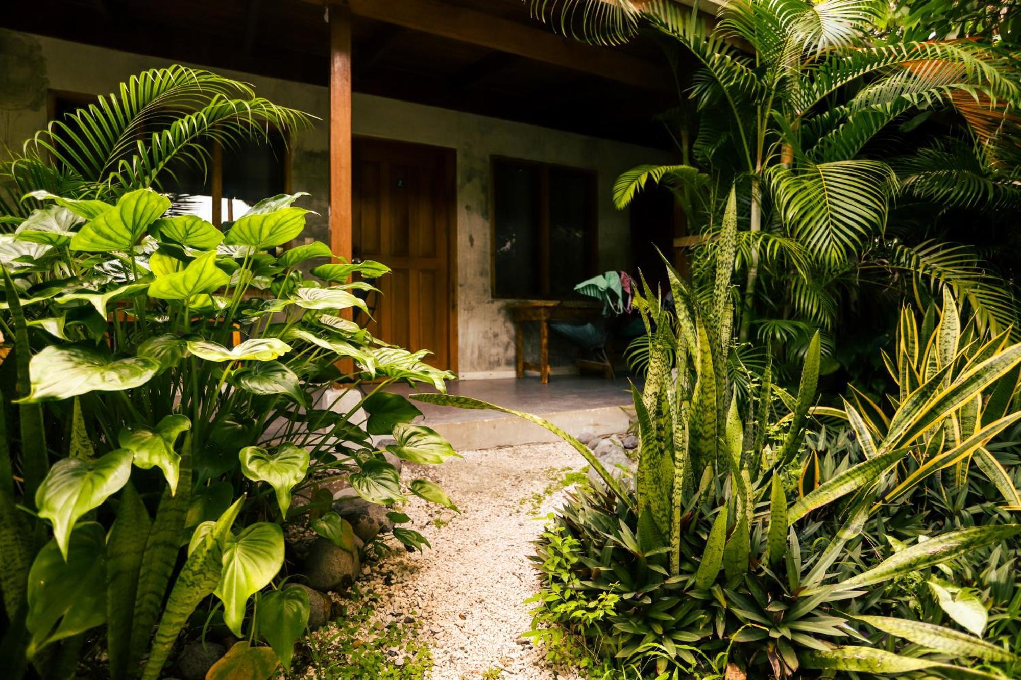 Cabinas Playa Surf Hostel Playa Santa Teresa  Exteriér fotografie