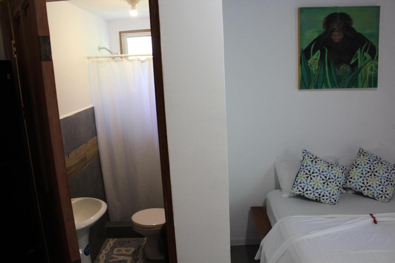 Cabinas Playa Surf Hostel Playa Santa Teresa  Exteriér fotografie
